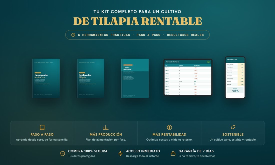 Kit completo: las 5 herramientas para un cultivo de tilapia rentable