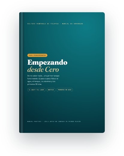 Manual Empezando desde Cero